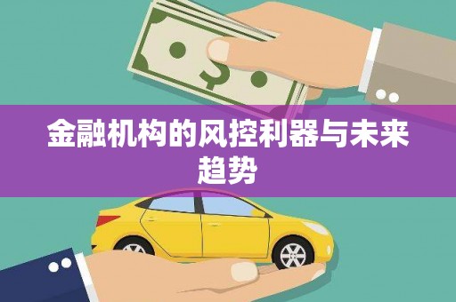 霍山金融机构的风控利器与未来趋势