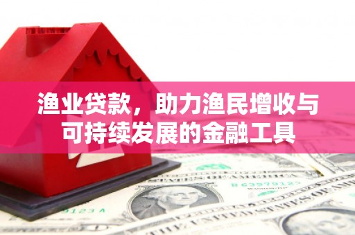 霍山渔业贷款，助力渔民增收与可持续发展的金融工具