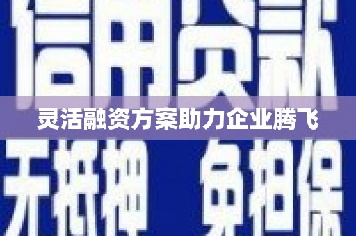 霍山灵活融资方案助力企业腾飞