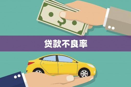 霍山贷款不良率