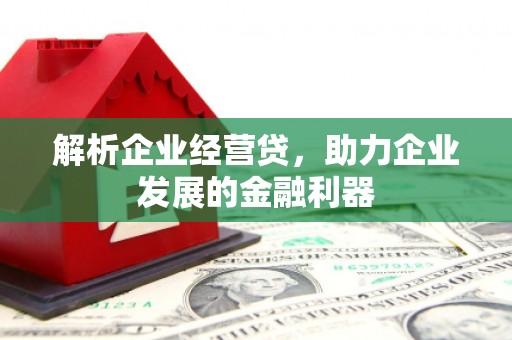 霍山解析企业经营贷，助力企业发展的金融利器