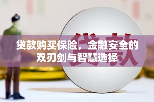 霍山贷款购买保险，金融安全的双刃剑与智慧选择