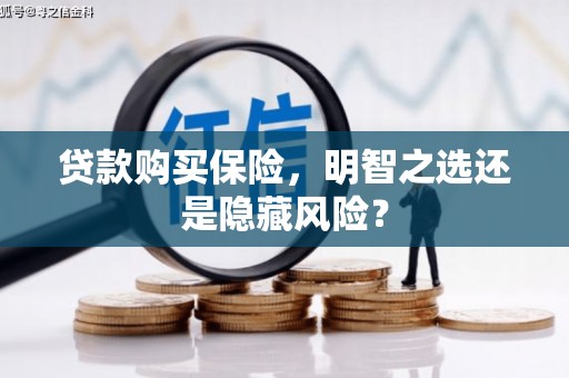 霍山贷款购买保险，明智之选还是隐藏风险？