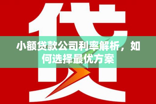 霍山小额贷款公司利率解析，如何选择最优方案