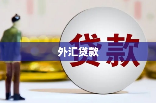 霍山外汇贷款