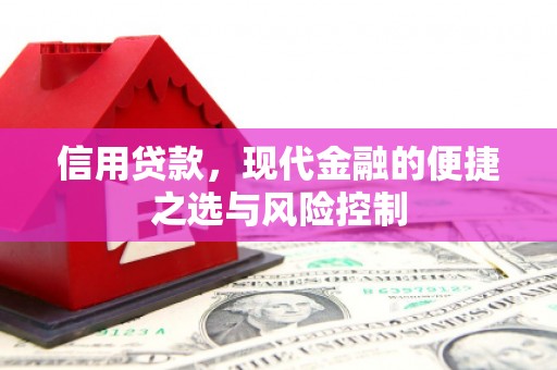霍山信用贷款，现代金融的便捷之选与风险控制