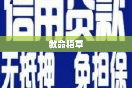 霍山救命稻草
