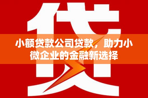 霍山小额贷款公司贷款，助力小微企业的金融新选择