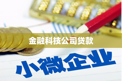 霍山金融科技公司贷款