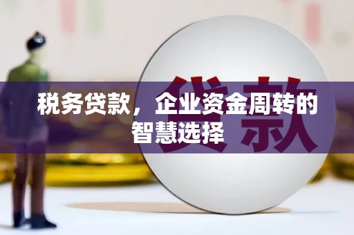霍山税务贷款，企业资金周转的智慧选择