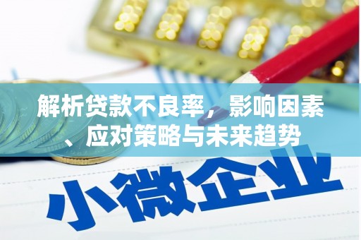 霍山解析贷款不良率，影响因素、应对策略与未来趋势