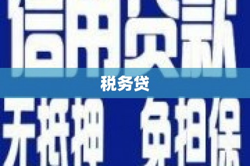 霍山税务贷