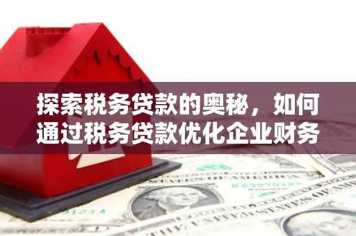 霍山探索税务贷款的奥秘，如何通过税务贷款优化企业财务