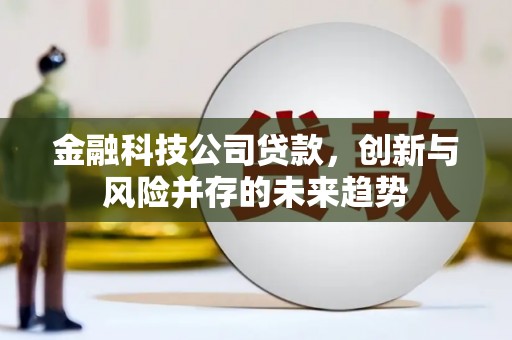 霍山金融科技公司贷款，创新与风险并存的未来趋势