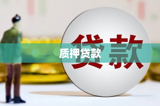 霍山质押贷款
