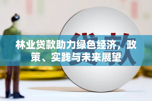 霍山林业贷款助力绿色经济，政策、实践与未来展望