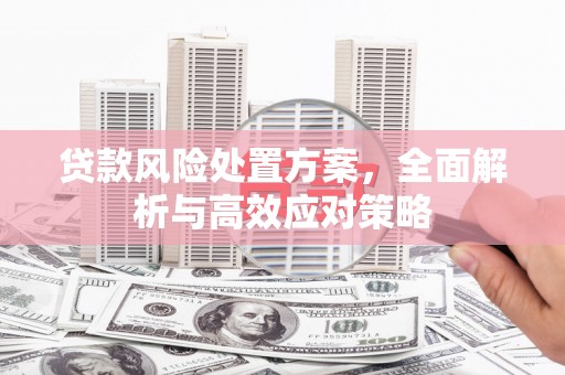 霍山贷款风险处置方案，全面解析与高效应对策略