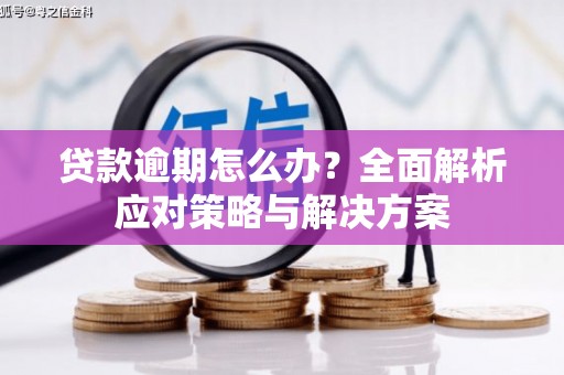 霍山贷款逾期怎么办？全面解析应对策略与解决方案