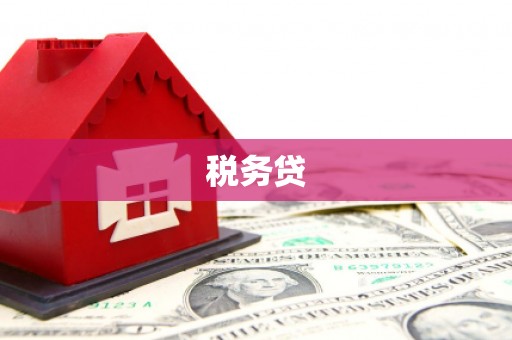 霍山税务贷