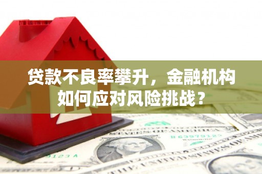 霍山贷款不良率攀升，金融机构如何应对风险挑战？