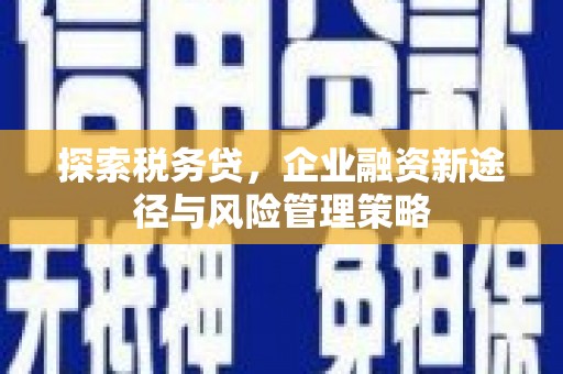 霍山探索税务贷，企业融资新途径与风险管理策略