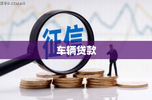 霍山车辆贷款
