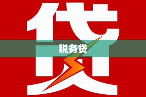 霍山税务贷