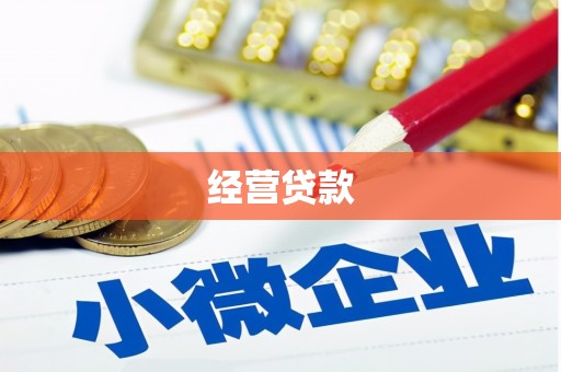 霍山经营贷款