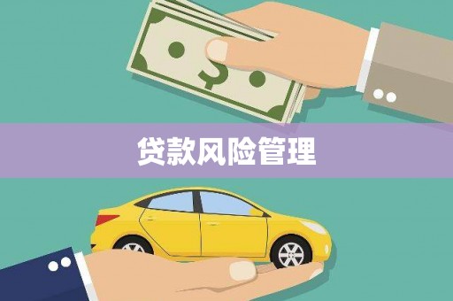 霍山贷款风险管理