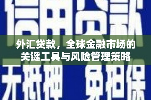 霍山外汇贷款，全球金融市场的关键工具与风险管理策略