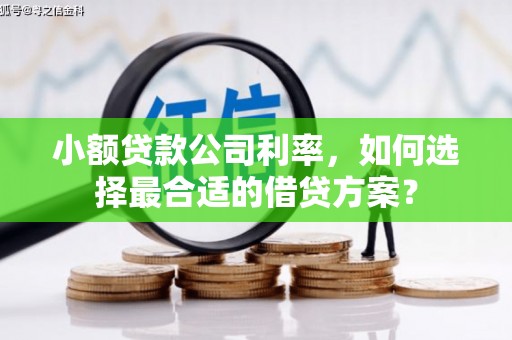 霍山小额贷款公司利率，如何选择最合适的借贷方案？