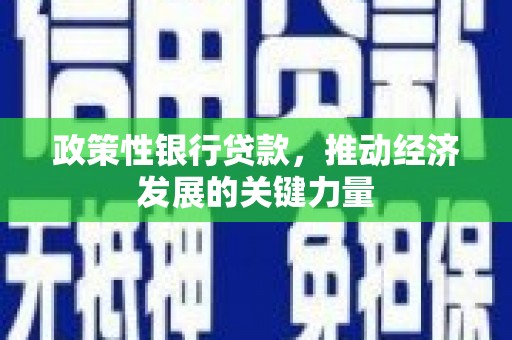 霍山政策性银行贷款，推动经济发展的关键力量