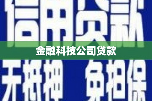 霍山金融科技公司贷款