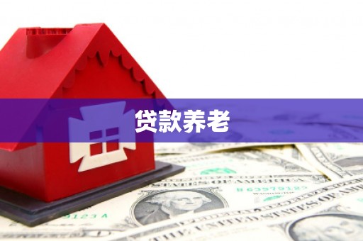 霍山贷款养老