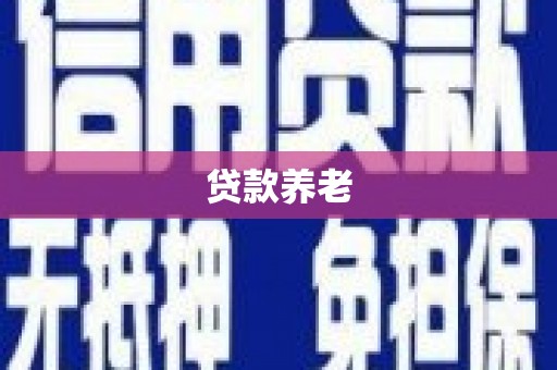 霍山贷款养老