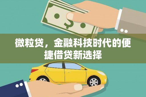 霍山微粒贷，金融科技时代的便捷借贷新选择