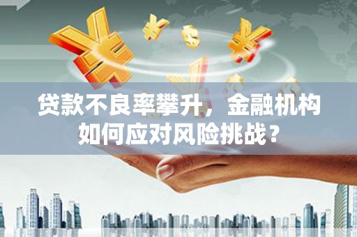 霍山贷款不良率攀升，金融机构如何应对风险挑战？