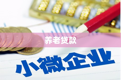 霍山养老贷款