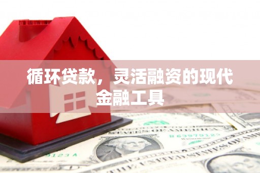 霍山循环贷款，灵活融资的现代金融工具